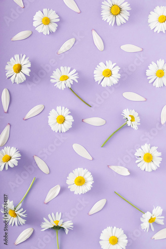 Purple pattern made with daisy flowers. Break the pattern or woman's day concept. Modern minimal flat lay.