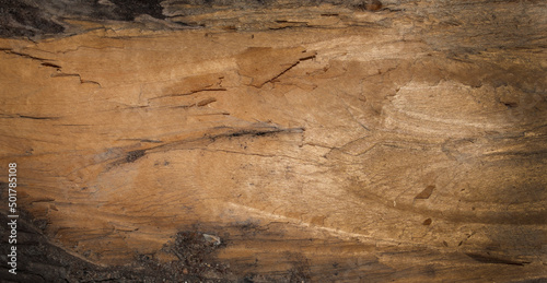 old wood texture