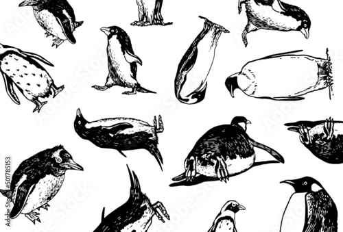  pattern penguins, stylish cover for for fabric, postcards, wallpapers,graphical vector illustration