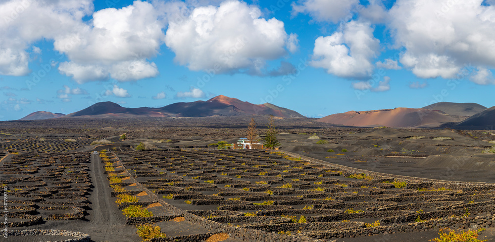 Panorama of volcanic vineyards and Timanfaya National Park, Spain