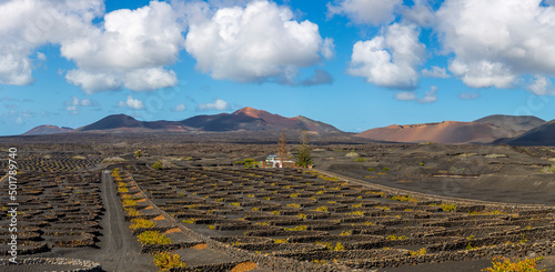 Panorama of volcanic vineyards and Timanfaya National Park, Spain photo