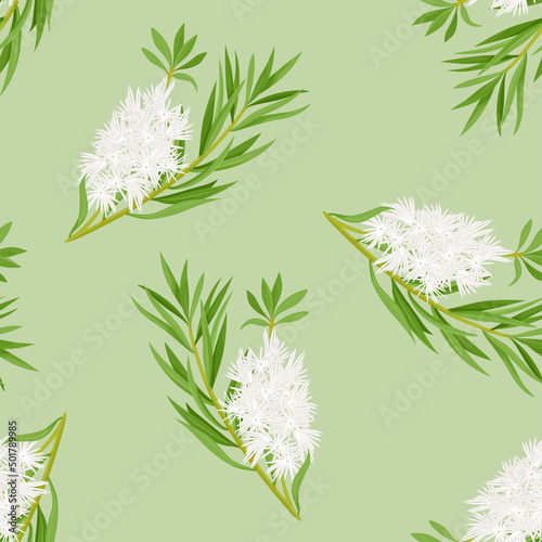 Tea tree green leaves and white flowers background. Vector seamless pattern with Melaleuca alternifolia or honey-myrtles. Cartoon flat style.