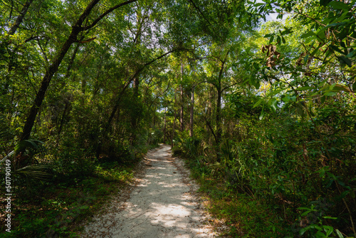 Walking nature trail at Sanlando recreation park in Altamonte Springs, a suburb of Metro Orlando in Florida