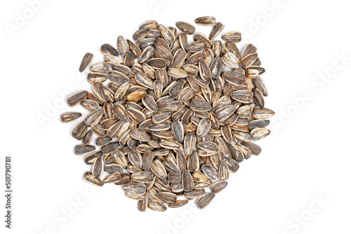 pile of sunflower seeds