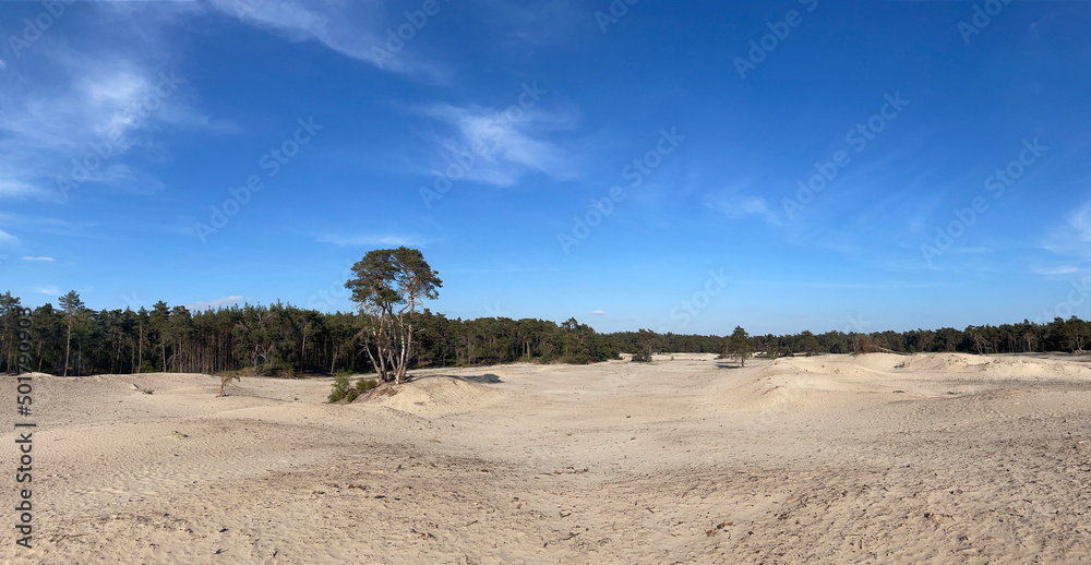 Panorama from the sahara Ommen