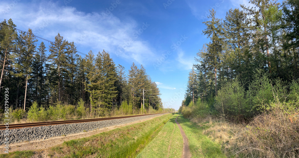 Panorama from MTB track next to train track in forest