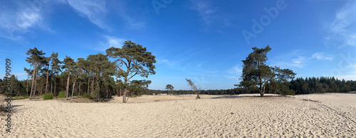 Panorama from the sahara Ommen photo