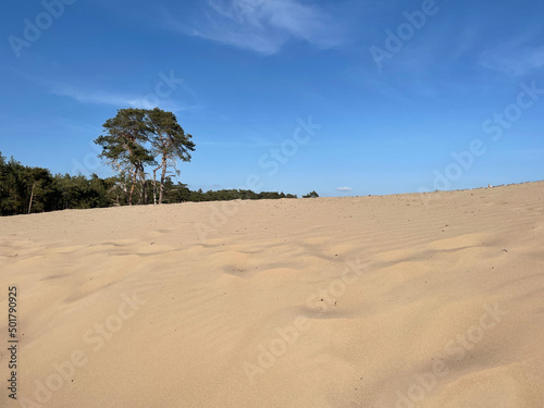 Sahara Ommen in Overijssel