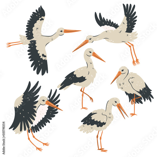 Set of storks isolated on white background. Vector graphics.