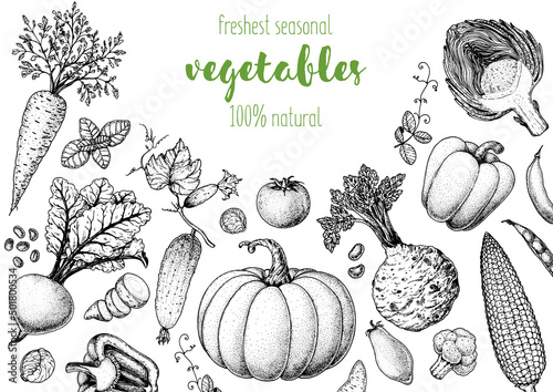 Vegetables hand drawn illustration. Top view frame. Vintage hand drawn sketch. Organic food poster. Good nutrition, healthy food. Vector illustration. Carrot, beet, artichoke, corn, pepper, celery