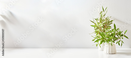 Fotografia Branches with green leaves in a vase and shadows on a white table