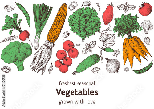 Vegetables hand drawn illustration. Top view frame. Vintage hand drawn sketch. Organic food poster. Good nutrition, healthy food. Vector illustration. Corn, tomato, carrot, broccoli, radish, lettuce