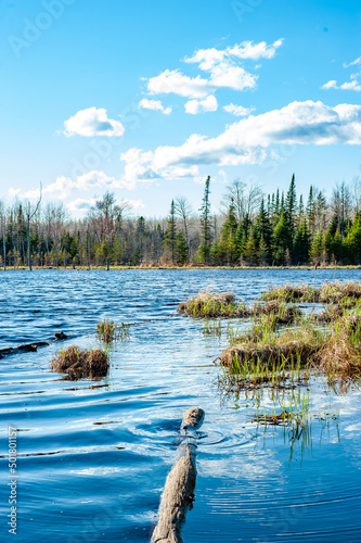 Lake View