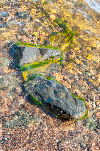 River Stones