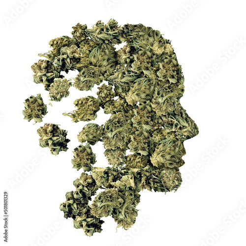 Cannabis and human health Medical psychoactive marijuana health care concept with legal medicinal cannabis as a metaphor for alternative therapy as natural herbal drug use. photo
