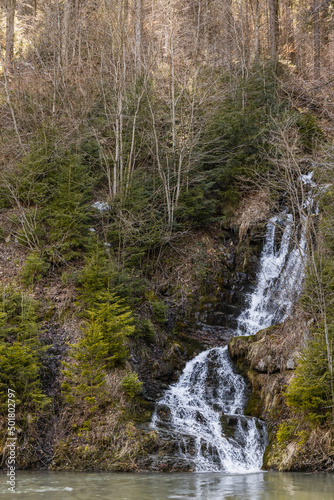 Flow of mountain river on hill near trees.