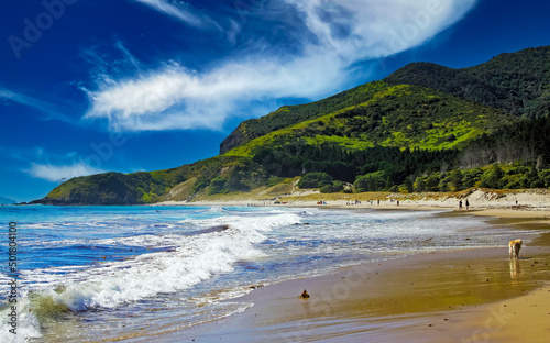 Idyllic lagoon with beautiful sand beach, waves, green mountains, blue summer sky - Pataua, New Zealand
