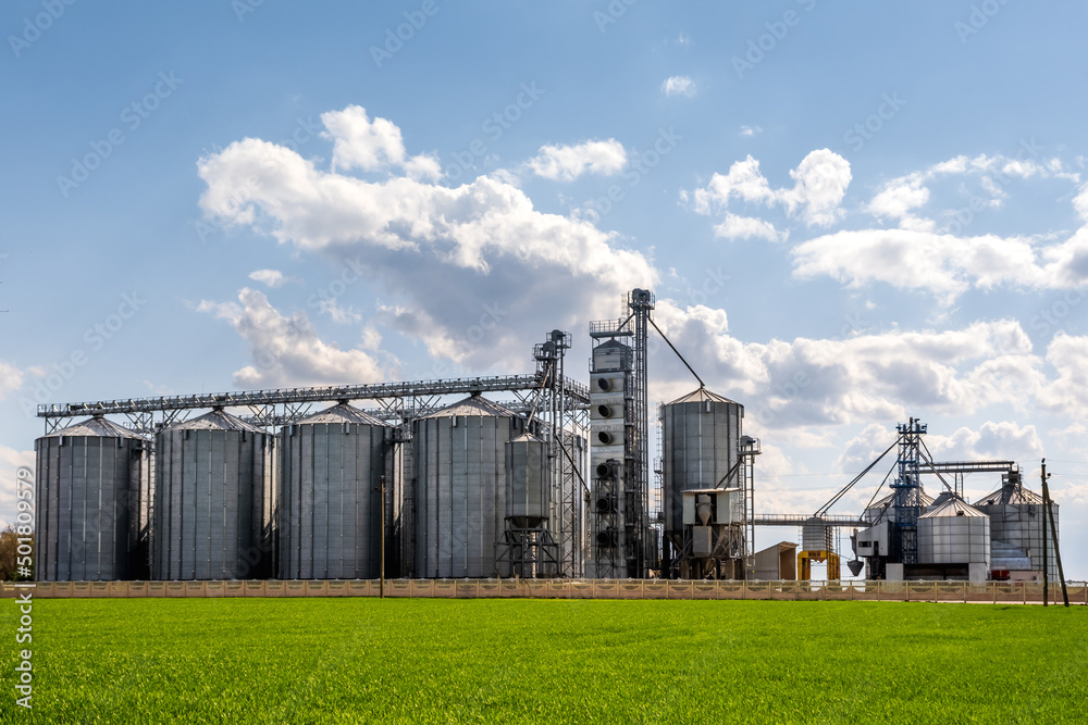 panorama view on agro silos granary elevator on agro-processing manufacturing plant for processing drying cleaning and storage of agricultural products, flour, cereals and grain.