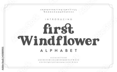 Lettering Minimal Fashion Designs. Vintage and classic alphabet, elegance typography. Uppercase, lowercase, alternate, ligatures fonts. Vector illustration of font. 