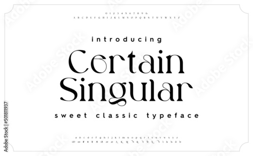 Classic typography serif font. Uppercase, lowercase, ligatures, ampersand, alternate, and number. Vector illustration word. Lettering Minimal Fashion Designs Romance Elegant. 
