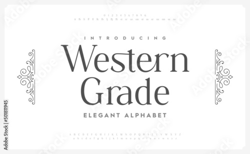 Classic typography elegant. Vintage Stylish Typeface. Alphabet and numbering  uppercase. Vector illustration word.