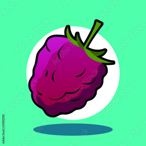Icono de una frambuesa en vector
