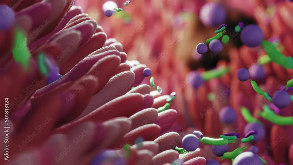 Microbiome intestine factories and microbiota. Gut health 3d render. Microvilli with factories in intestine 