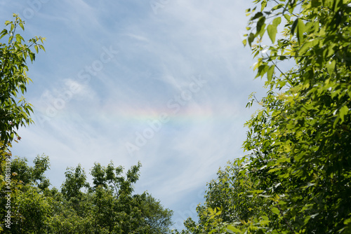 rainbow in the cloudy blue sky  surrounded by trees 