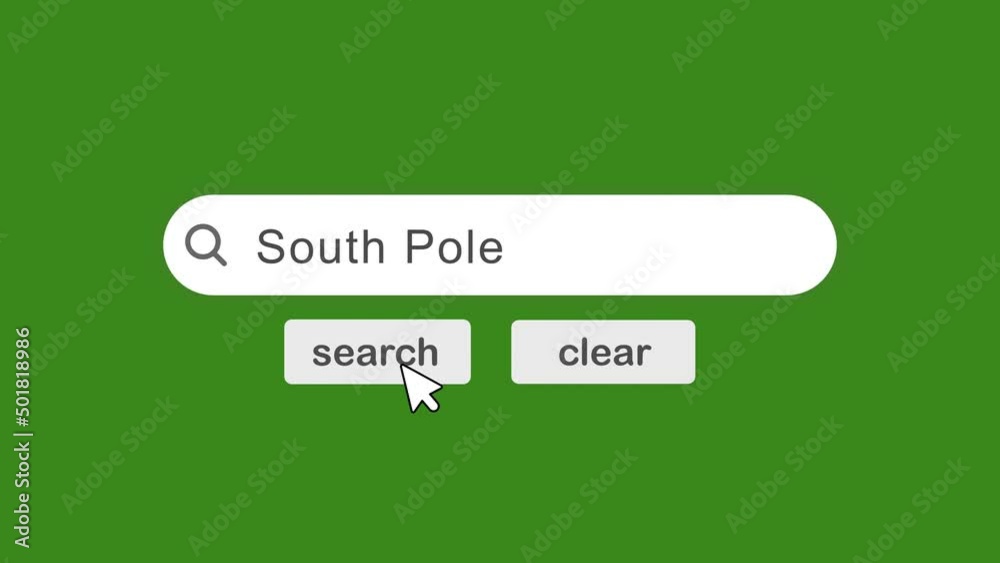 south pole typing on Search Bar with click Animation On Green Background.searching the word on internet search browser.