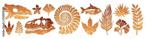 Fossil vector. Archeologic fossil dig set. Dinosaur dino foot, sea animal, fish skeleton, plant, shell. Ancient sand stone. Evolution rock prehistoric art. Paleontology, history limestone watercolor photo