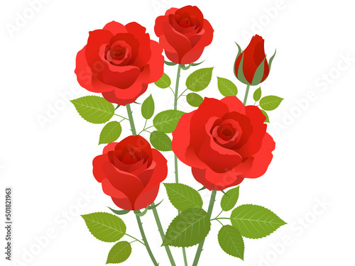 赤い薔薇_ベクターイラスト