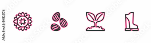 Set line Sunflower, Plant, Seeds and Waterproof rubber boot icon. Vector