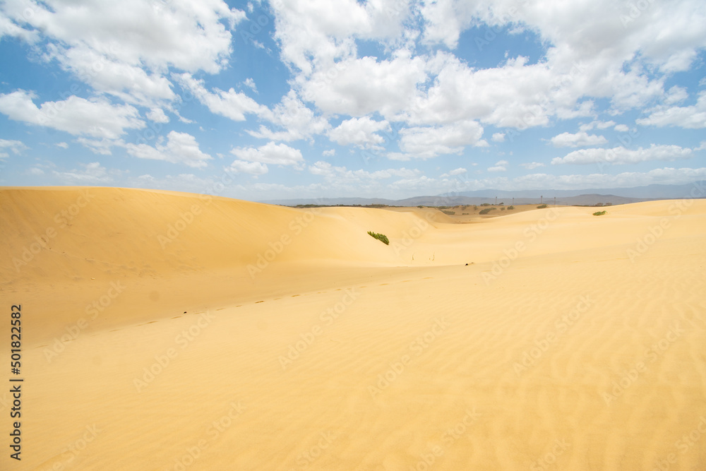 Medanos de Coro, Dunas de Venezuela