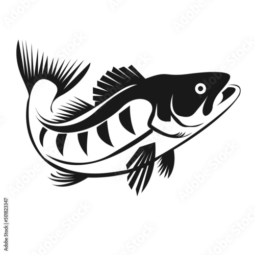 This picture shows a salmon perch