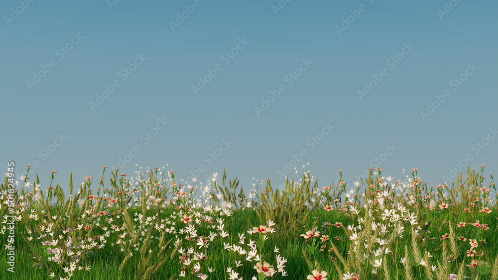 Spring Meadow with Long Grass, Wild Flowers and clear blue sky. Natural ...