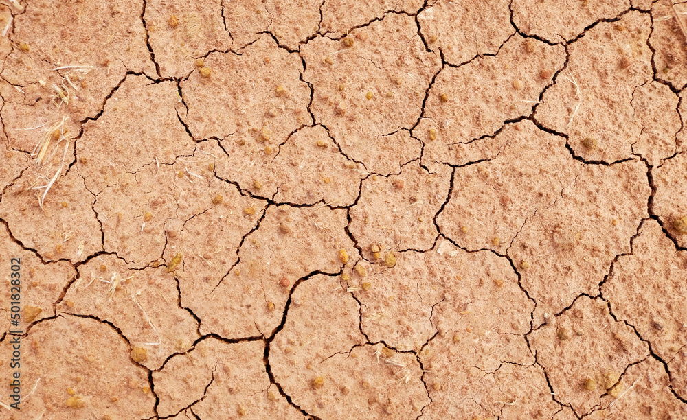 Cracked ground background in the top view for graphic design or wallpaper Cracked ground background in the top view for graphic design or wallpaper