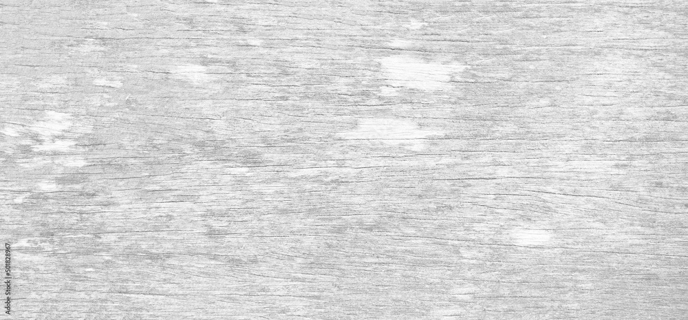 White wood texture with beautiful natural patterns in retro concept. White wood texture with beautiful natural patterns in retro concept.