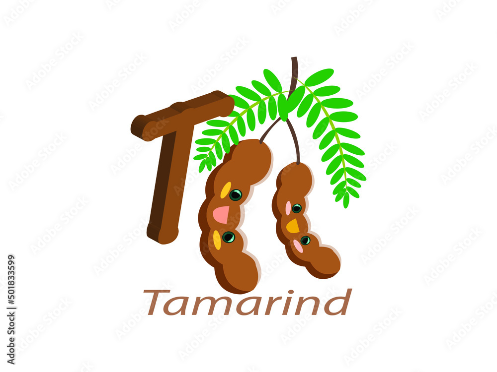 T for Tamarind Alphabet Vector illustration. Fruit and Vegetables Name  Alphabet symbol. Kids Nursery isolated on white background, Clip Art, Cute,  Cartoon ABC Stock Vector | Adobe Stock