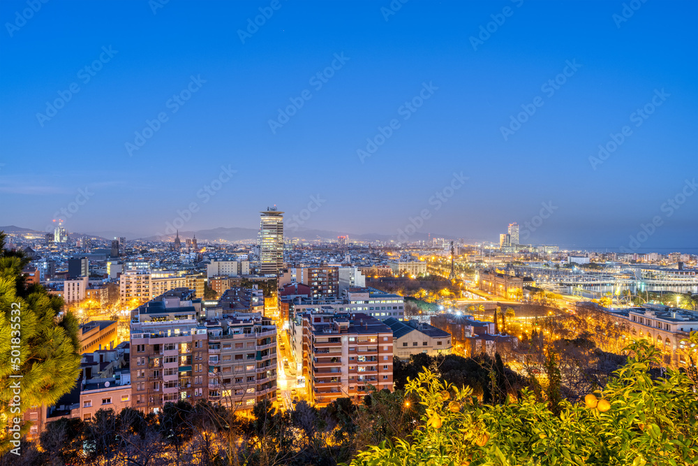 View over Barcelona from Montjuic mountain at night