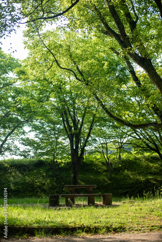 公園