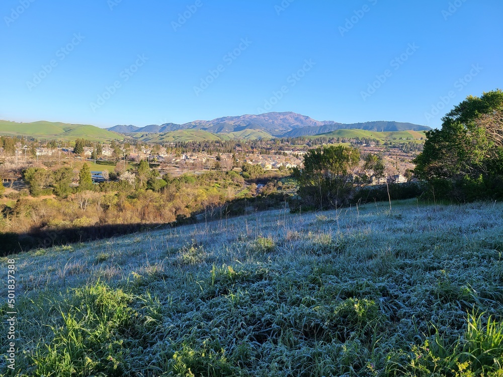 Winter Frost on the hillside meadow in the foothills of Diablo range, San Ramon, California