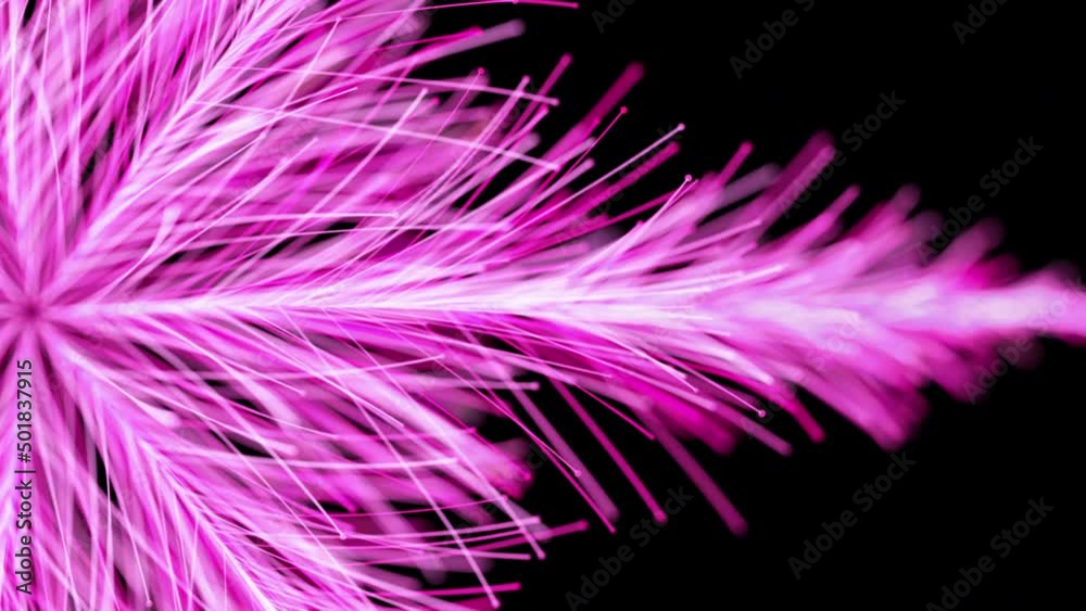 Particle pink flowers blossom - abstract motion background. 3d computer generated animation of particles flower with depth of field. Particle pink flowers blossom - abstract motion background. 3d computer generated animation of particles flower with depth of field.
