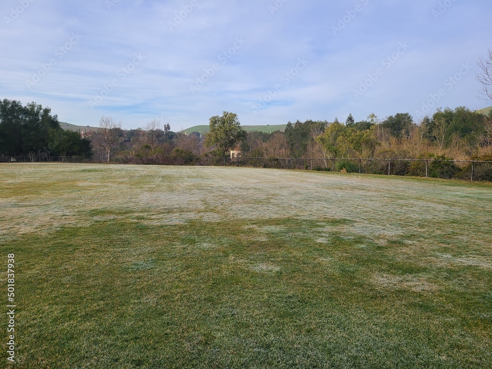 Frosted grounds on a cold winter morning in a California public park Frosted grounds on a cold winter morning in a California public park