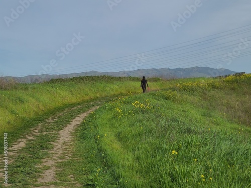 A hiker on the trail in the spring near San Francisco, California