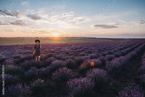 Lavender sunset © Nikitas