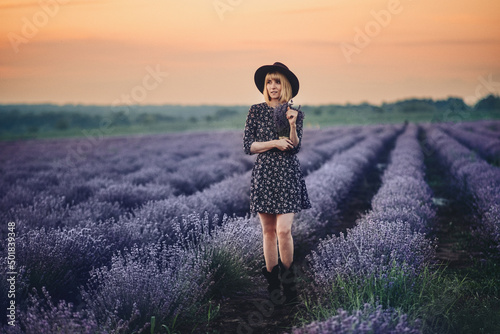 Photography Lavender sunset