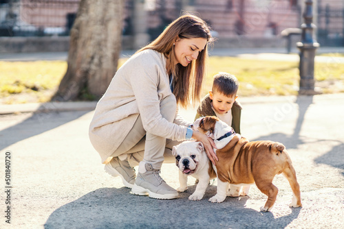 A mother and little boy playing with bulldog puppies in a park.