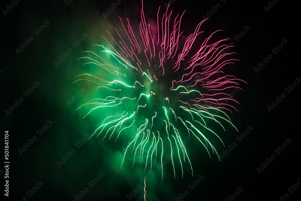 Fototapeta premium fireworks in the night sky