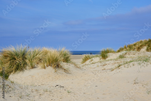 Tranquil picturesque landscape peaceful holiday vacation sandy dunes beach scenery at Dutch North Sea coast near Ijmuiden, Holland in summer with blue sky, cottages, trails and surf photo