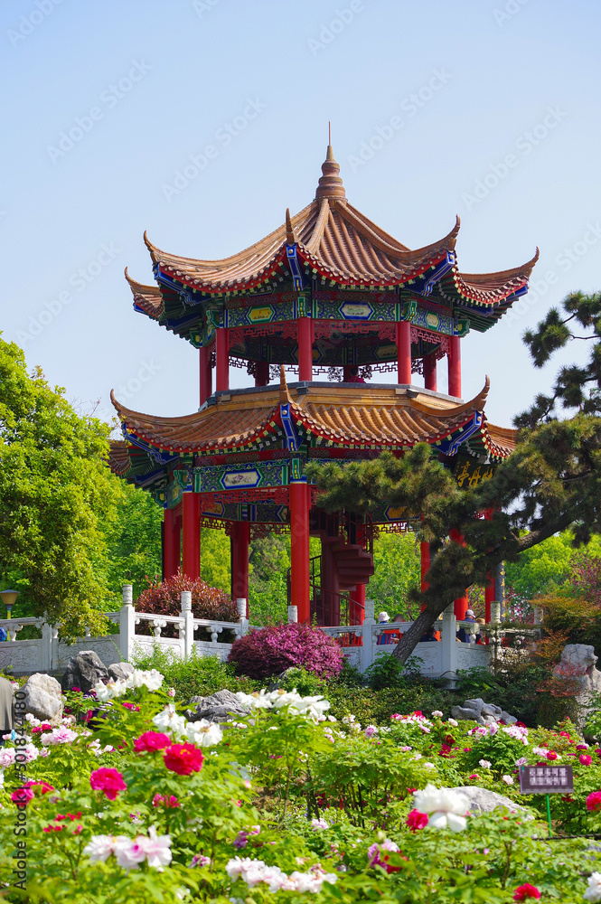 Early spring scenery of East Lake Peony Garden in Wuhan, Hubei Early spring scenery of East Lake Peony Garden in Wuhan, Hubei